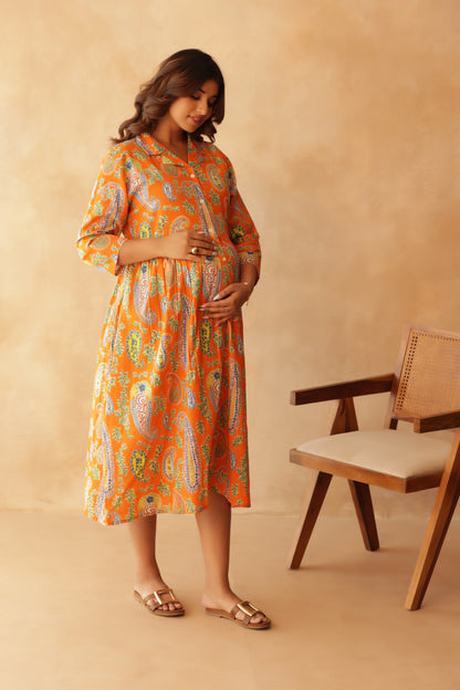 Tangerine Paisley Buttoned Maternity & Nursing Dress