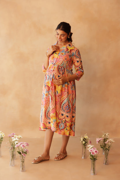 Gulabi Gulmohar Buttoned Maternity & Nursing Dress