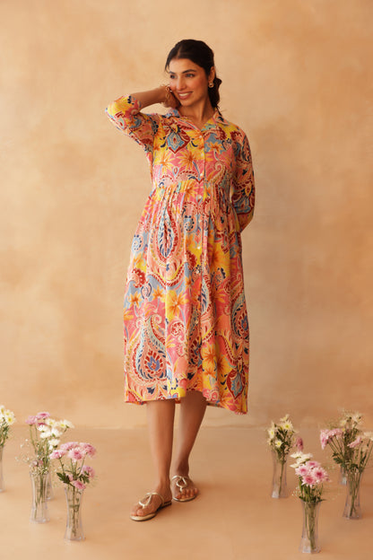 Gulabi Gulmohar Buttoned Maternity & Nursing Dress
