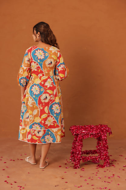 Desi Botanica Maternity & Nursing Dress